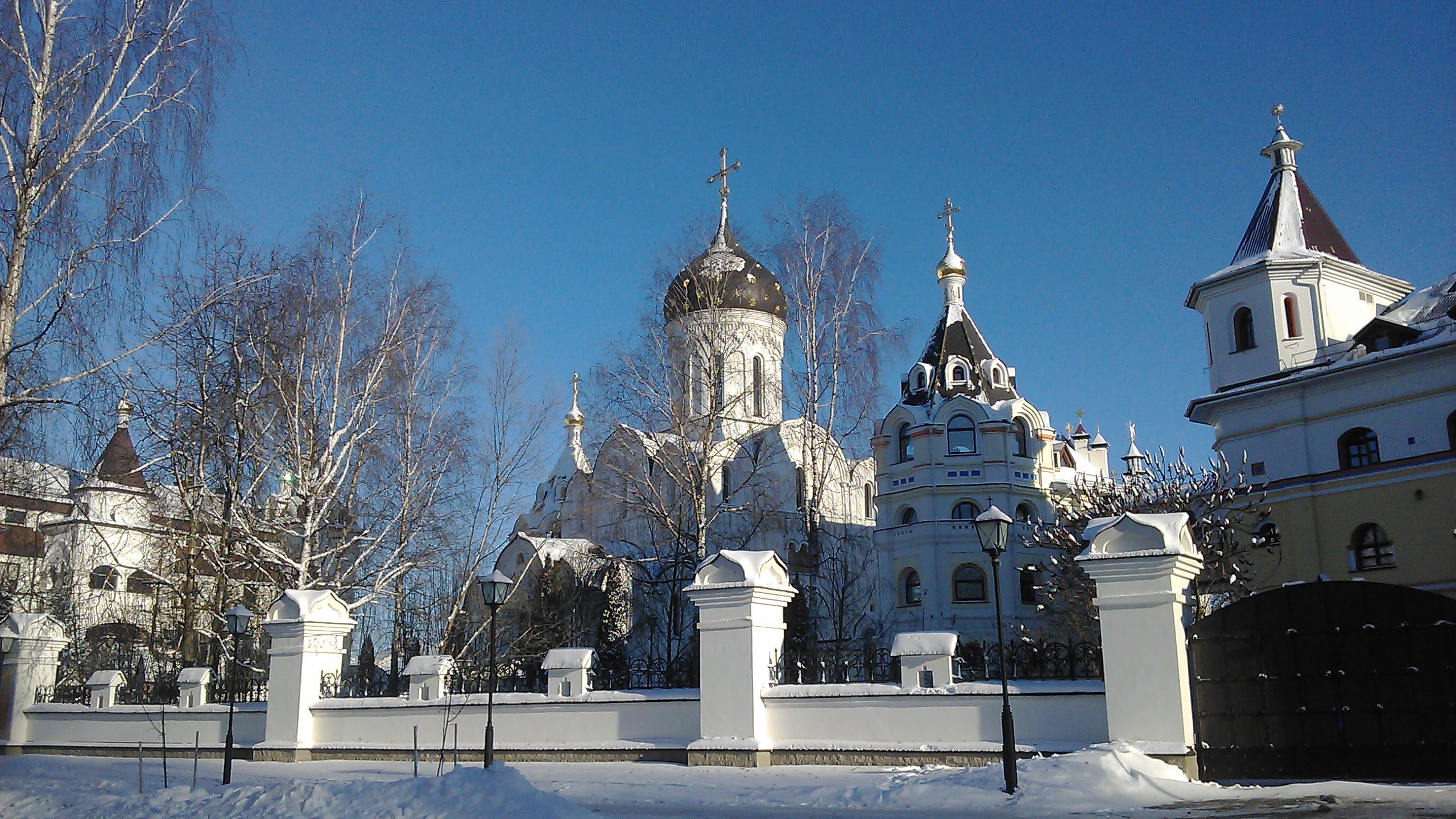 беларуссия на сайт-min